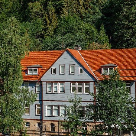 Fewo-Lerbachtal Osterode am Harz Dış mekan fotoğraf