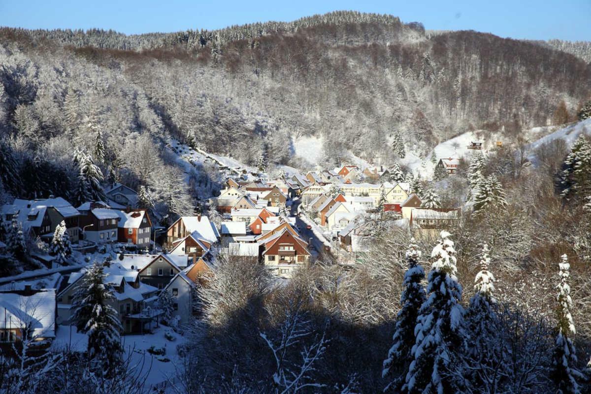 Fewo-Lerbachtal Osterode am Harz Dış mekan fotoğraf