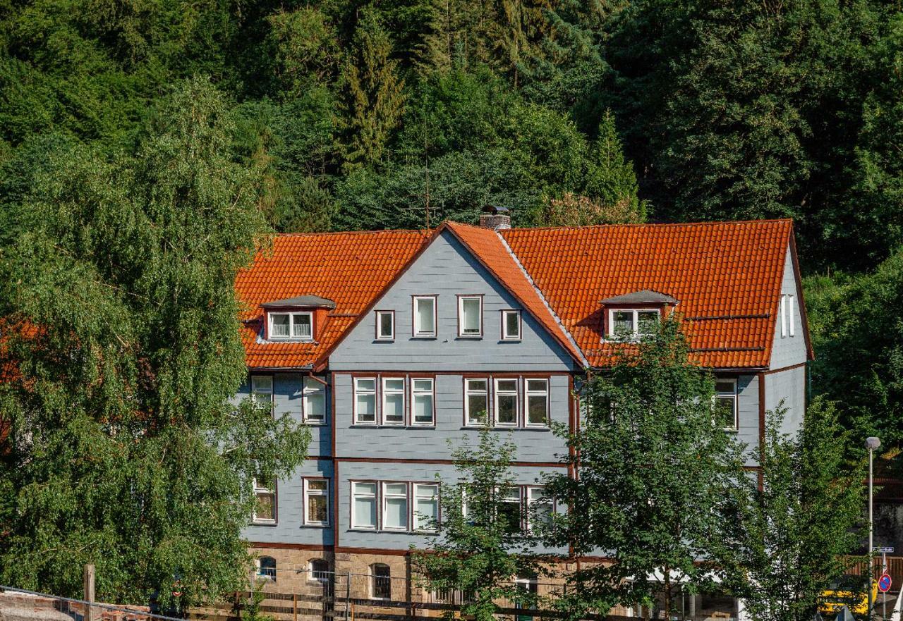 Fewo-Lerbachtal Osterode am Harz Dış mekan fotoğraf